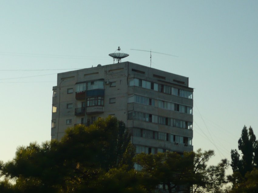 P1010226.JPG