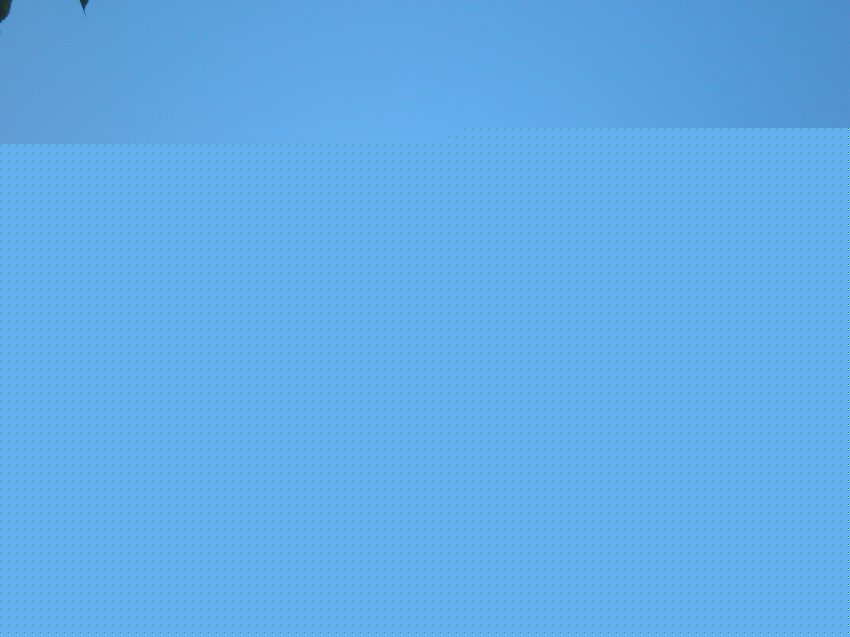 UX3LV_9HVAQ.jpg