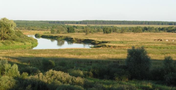 Sozh river