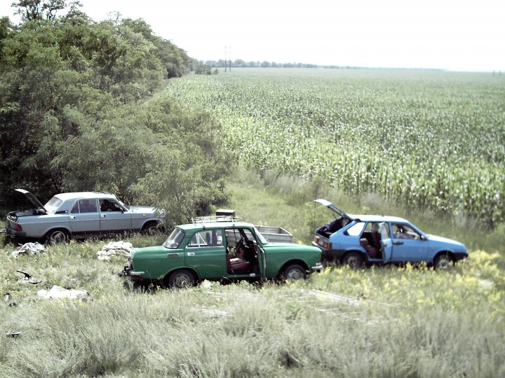 Полевой день 2007